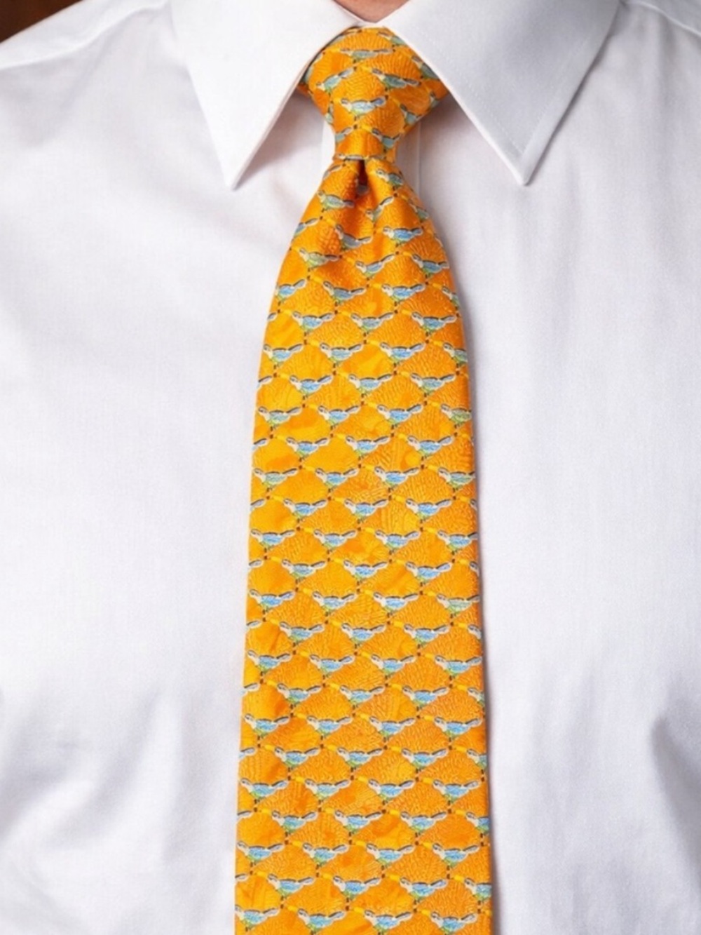 Ermenegildo Zegna Silk Orange Textured Tie with Blue Bird Pattern
X